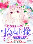 快穿白月光: boss 