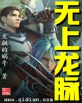 无上龙帝全集正版